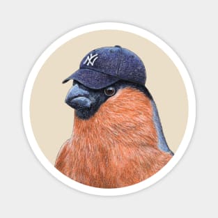 Eurasian bullfinch Magnet